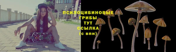 прущая мука Алзамай