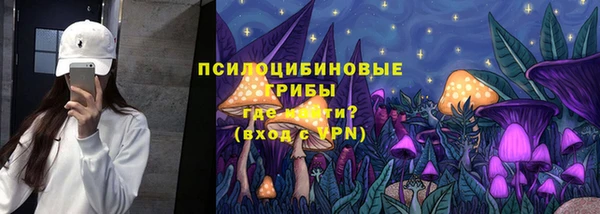 прущая мука Алзамай