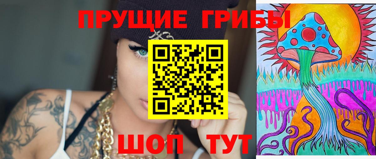 Котовск  Псилоцибиновые грибы ЛСД  Псилоцибиновые грибы MAGIC MUSHROOMS  где продают   Вход с VPN 