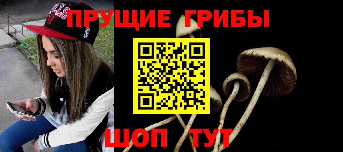 Псилоцибиновые грибы мицелий Котовск